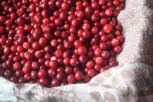 Cranberry: King of the Urinary Tract Infection