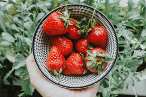 Not Just Delicious: New Research on the Health Benefits of Strawberries