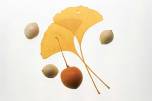 Now Hear This! Ginkgo for Sudden Hearing Loss