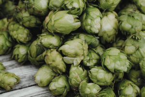 Want to Lose a Little Weight? Hop to it!