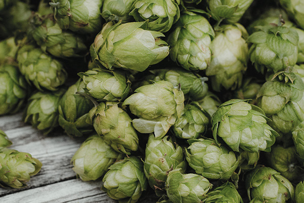 Want to Lose a Little Weight? Hop to it!