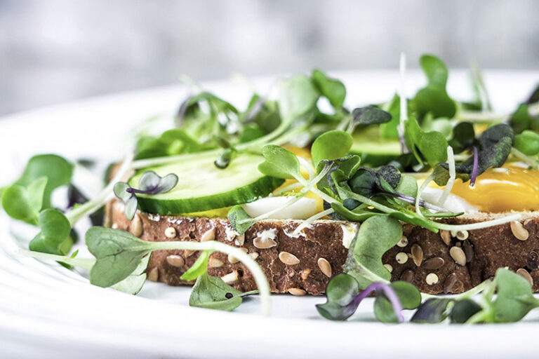 Can a Vegetarian Diet Help Women with Advanced Breast Cancer?