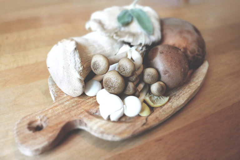 Medicinal Mushrooms for Immunity