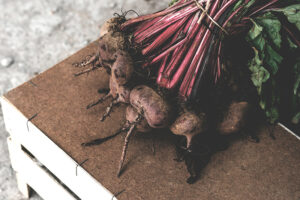 Meet Beets!