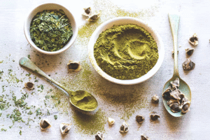 Moringa Improves Exercise Performance