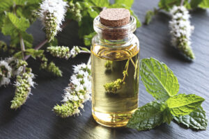 Peppermint Oil for IBS: The Evidence Mounts