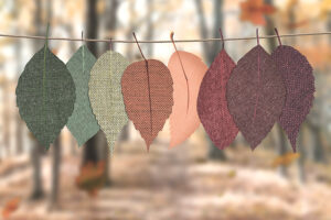 Strengthening Your Immune System for Fall: Essential Supplements