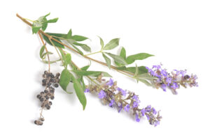 Tame PMS with Vitex or Chaste Tree