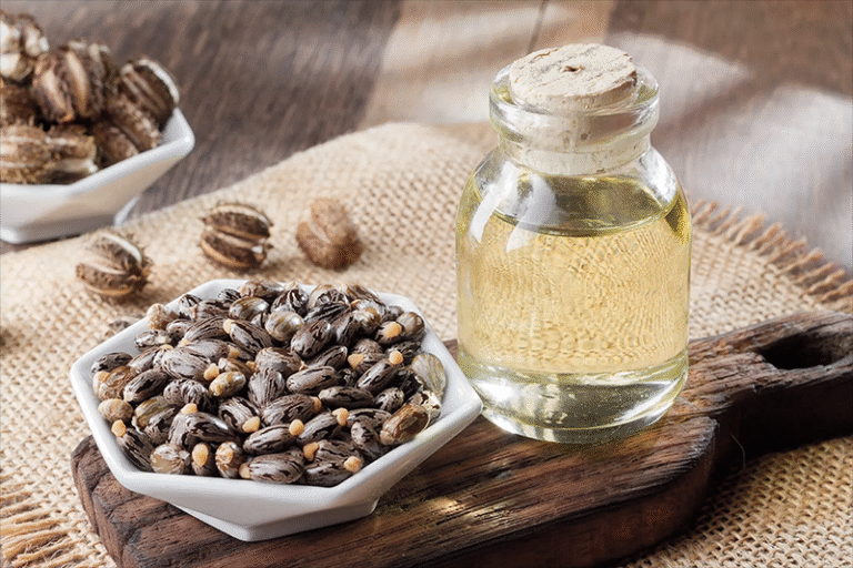 Unveiling the Ancient Elixir: Castor Oil's History and Multifaceted Uses